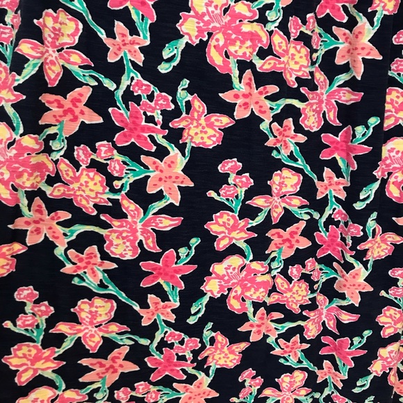 Lilly Pulitzer Dress - Picture 7 of 9